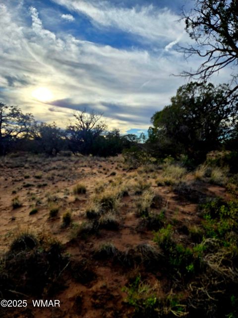 Tiny photo for 4360 &4366 E Pinto Road, Snowflake, AZ 85937 (MLS # 258603)