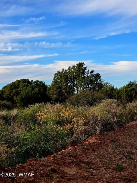 Photo of 4360 &4366 E Pinto Road, Snowflake, AZ 85937 (MLS # 258603)