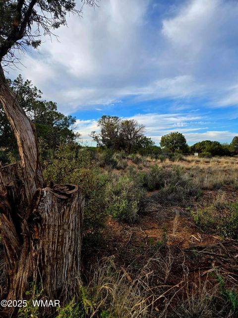 Tiny photo for 4360 &4366 E Pinto Road, Snowflake, AZ 85937 (MLS # 258603)