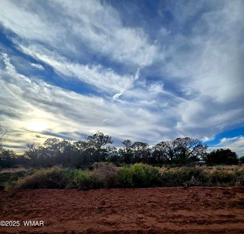 Tiny photo for 4360 &4366 E Pinto Road, Snowflake, AZ 85937 (MLS # 258603)