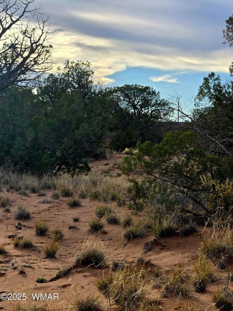 Tiny photo for 4360 &4366 E Pinto Road, Snowflake, AZ 85937 (MLS # 258603)