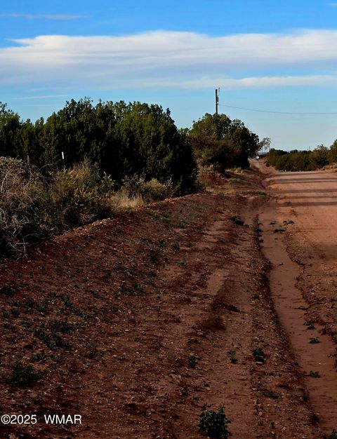 Tiny photo for 4360 &4366 E Pinto Road, Snowflake, AZ 85937 (MLS # 258603)