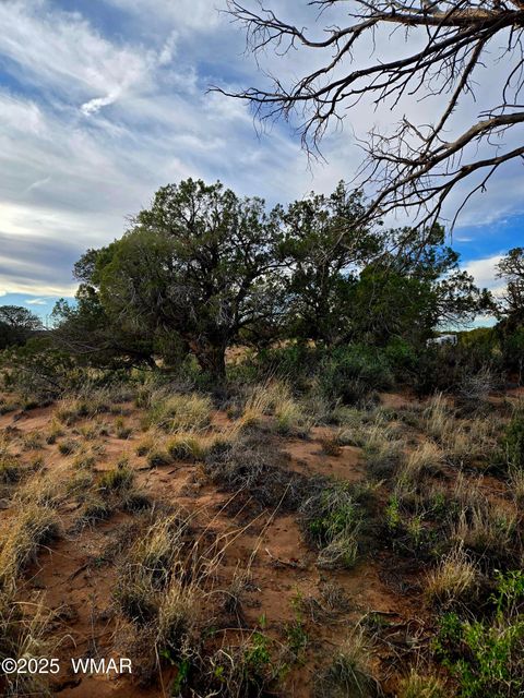 Tiny photo for 4360 &4366 E Pinto Road, Snowflake, AZ 85937 (MLS # 258603)