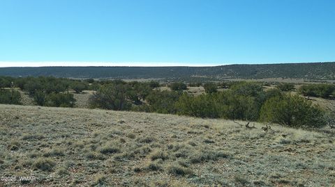 Photo of 4523 Stirrup Road, Snowflake, AZ 85937 (MLS # 259531)