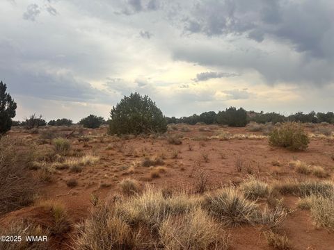 Tiny photo for 8341 Justin Lane, Snowflake, AZ 85937 (MLS # 257106)