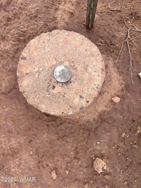 Tiny photo for 8341 Justin Lane, Snowflake, AZ 85937 (MLS # 257106)