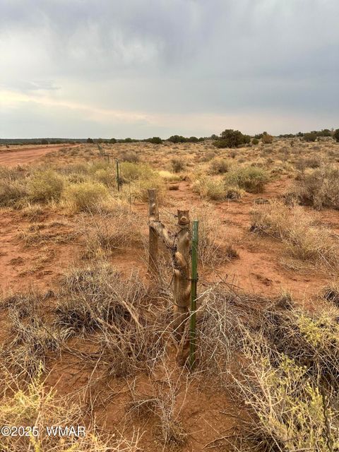 Tiny photo for 8341 Justin Lane, Snowflake, AZ 85937 (MLS # 257106)