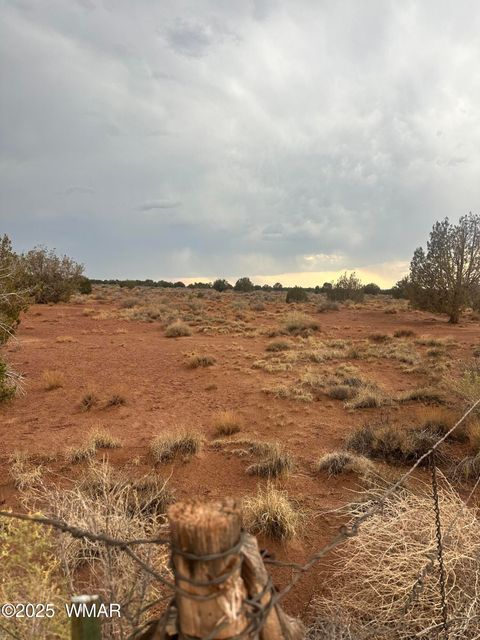 Photo of 8341 Justin Lane, Snowflake, AZ 85937 (MLS # 257106)