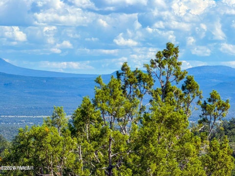 Tiny photo for 61 Norma Rd Lot B 10 Acres, Ash Fork, AZ 86320 (MLS # 263492)