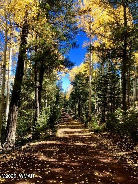 Tiny photo for 5065 Night Hawk Loop, Pinetop, AZ 85935 (MLS # 262838)