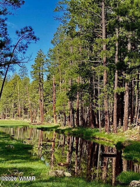 Tiny photo for TBD Hi Joe Road, Lakeside, AZ 85929 (MLS # 259315)