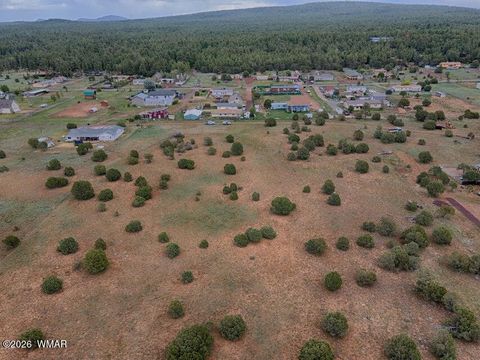 Tiny photo for TBD Hi Joe Road, Lakeside, AZ 85929 (MLS # 259315)