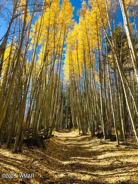 Tiny photo for TBD Hi Joe Road, Lakeside, AZ 85929 (MLS # 259315)