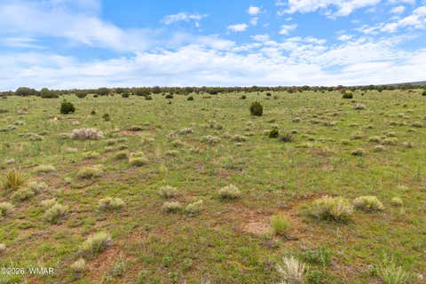 Tiny photo for 240 Co Rd 2116, Nutrioso, AZ 85932 (MLS # 262608)