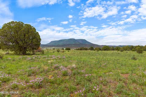 Tiny photo for 240 Co Rd 2116, Nutrioso, AZ 85932 (MLS # 262608)