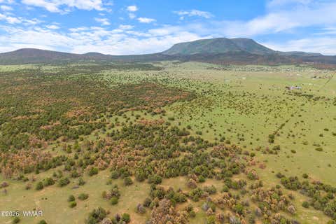 Tiny photo for 240 Co Rd 2116, Nutrioso, AZ 85932 (MLS # 262608)