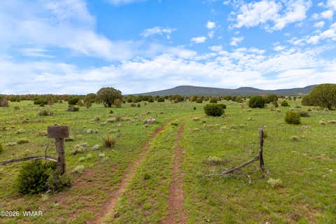 Tiny photo for 240 Co Rd 2116, Nutrioso, AZ 85932 (MLS # 262608)