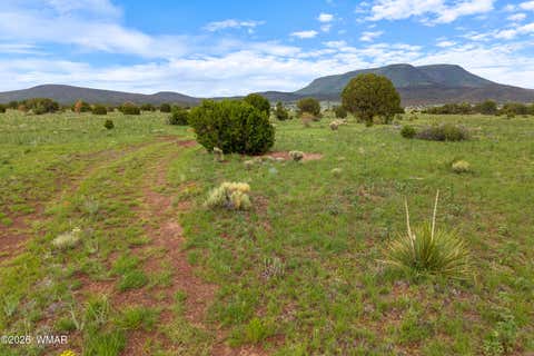 Tiny photo for 240 Co Rd 2116, Nutrioso, AZ 85932 (MLS # 262608)