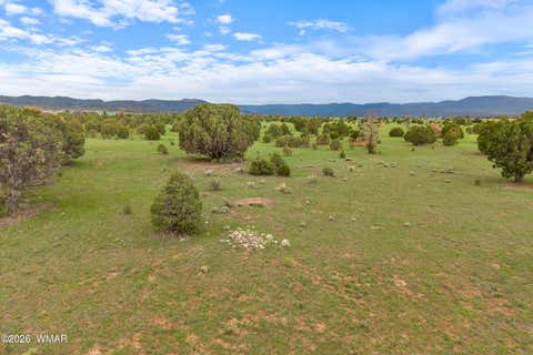 Tiny photo for 240 Co Rd 2116, Nutrioso, AZ 85932 (MLS # 262608)