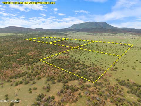 Tiny photo for 240 Co Rd 2116, Nutrioso, AZ 85932 (MLS # 262608)