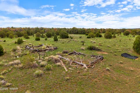 Tiny photo for 240 Co Rd 2116, Nutrioso, AZ 85932 (MLS # 262608)