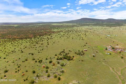 Tiny photo for 240 Co Rd 2116, Nutrioso, AZ 85932 (MLS # 262608)