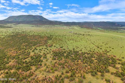 Tiny photo for 240 Co Rd 2116, Nutrioso, AZ 85932 (MLS # 262608)
