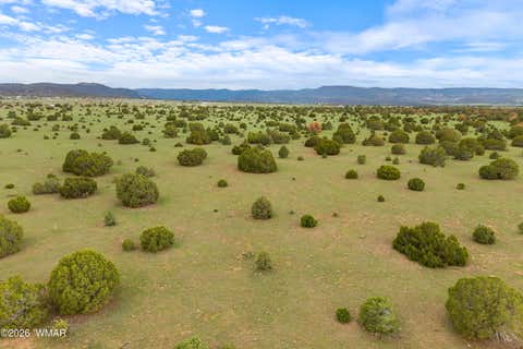 Tiny photo for 240 Co Rd 2116, Nutrioso, AZ 85932 (MLS # 262608)