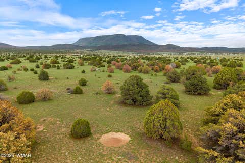 Tiny photo for 240 Co Rd 2116, Nutrioso, AZ 85932 (MLS # 262608)