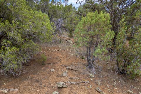 Tiny photo for 400 & 410 N 18Th Pl Place, Show Low, AZ 85901 (MLS # 261812)