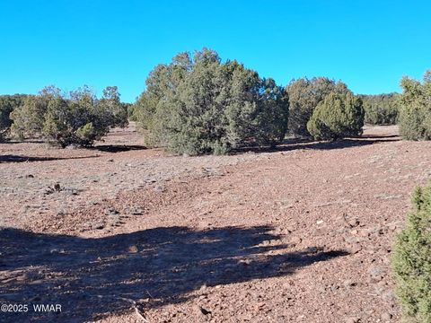 Tiny photo for TBD N8715, Concho, AZ 85924 (MLS # 258853)