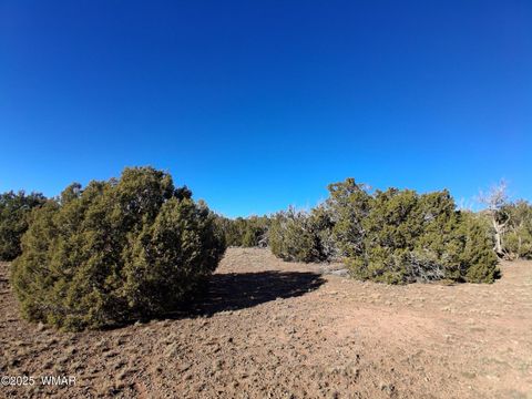 Tiny photo for TBD N8715, Concho, AZ 85924 (MLS # 258853)
