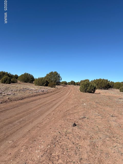 Photo of TBD N8715, Concho, AZ 85924 (MLS # 258853)
