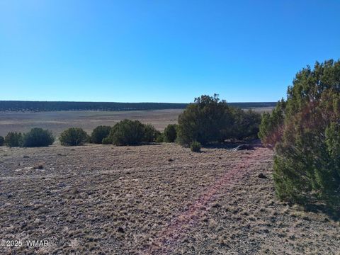 Tiny photo for TBD N8715, Concho, AZ 85924 (MLS # 258853)