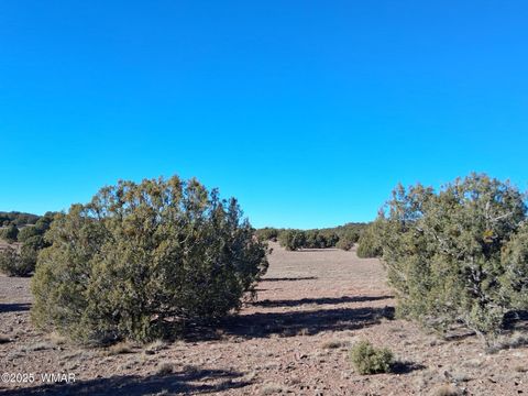 Tiny photo for TBD N8715, Concho, AZ 85924 (MLS # 258853)
