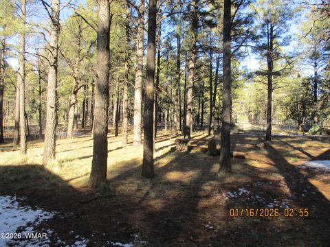 Tiny photo for 9286 Grizzly Bear Road, Lakeside, AZ 85929 (MLS # 259220)