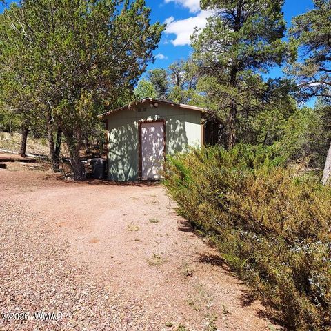 Tiny photo for 1920 Aspen Lane, Overgaard, AZ 85933 (MLS # 261820)