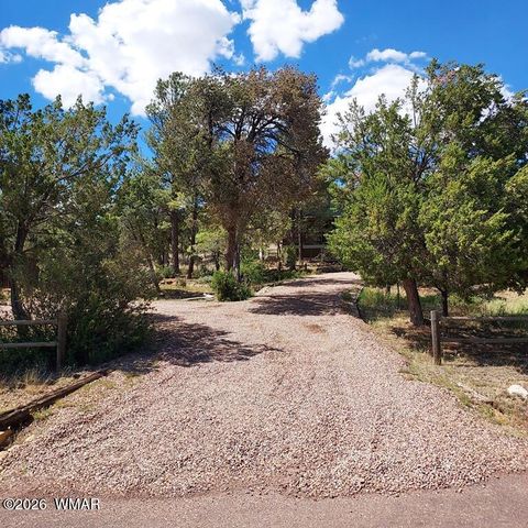 Tiny photo for 1920 Aspen Lane, Overgaard, AZ 85933 (MLS # 261820)