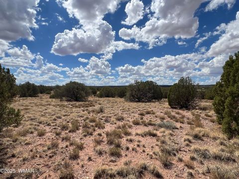 Tiny photo for 4498 S Pinto Road, Snowflake, AZ 85937 (MLS # 258316)