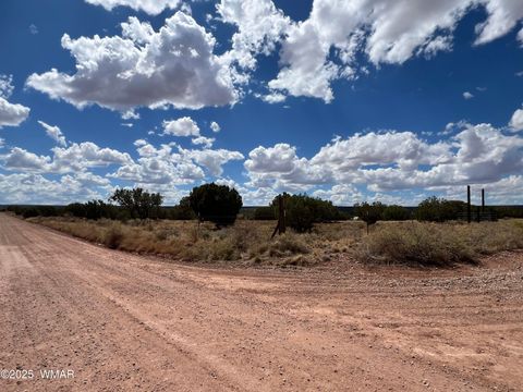 Tiny photo for 4498 S Pinto Road, Snowflake, AZ 85937 (MLS # 258316)