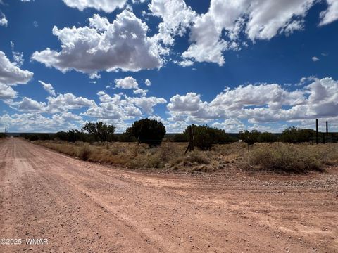 Tiny photo for 4498 S Pinto Road, Snowflake, AZ 85937 (MLS # 258316)