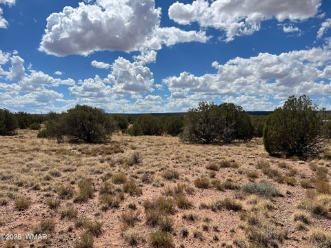 Tiny photo for 4498 S Pinto Road, Snowflake, AZ 85937 (MLS # 258316)