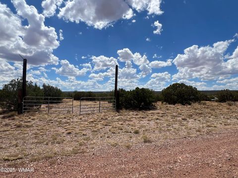 Tiny photo for 4498 S Pinto Road, Snowflake, AZ 85937 (MLS # 258316)