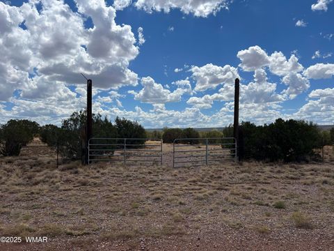 Photo of 4498 S Pinto Road, Snowflake, AZ 85937 (MLS # 258316)