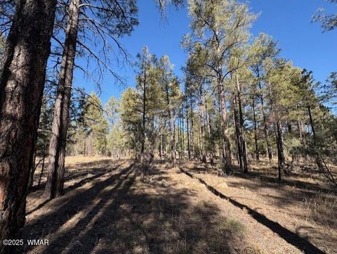 Tiny photo for 3270 W Black Oak Loop, Show Low, AZ 85901 (MLS # 259076)