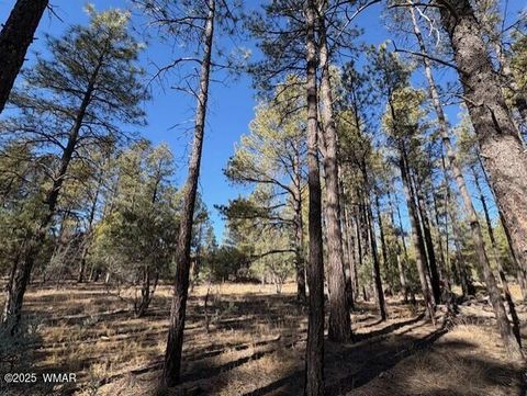 Tiny photo for 3270 W Black Oak Loop, Show Low, AZ 85901 (MLS # 259076)