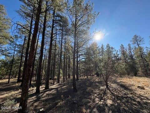 Tiny photo for 3270 W Black Oak Loop, Show Low, AZ 85901 (MLS # 259076)