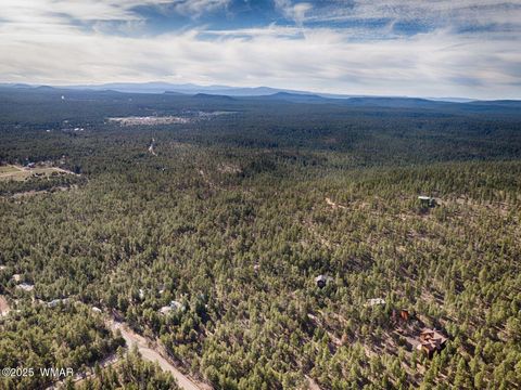 Tiny photo for 3350 W Rim Road Parcel #4, Lakeside, AZ 85929 (MLS # 258382)