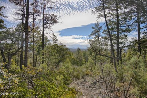 Tiny photo for 3350 W Rim Road Parcel #4, Lakeside, AZ 85929 (MLS # 258382)