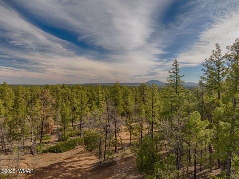 Tiny photo for 3350 W Rim Road Parcel #4, Lakeside, AZ 85929 (MLS # 258382)